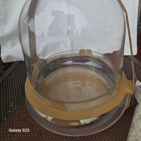 Large 12" Syndicate Home and Garden Glass Terrarium/Cloche W/Bottom Plate - Picture 3 of 9